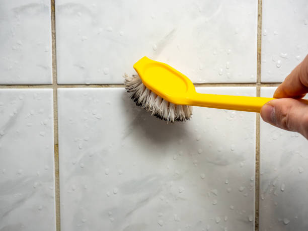 Best Mold Removal Specialists  in Quail Creek, TX