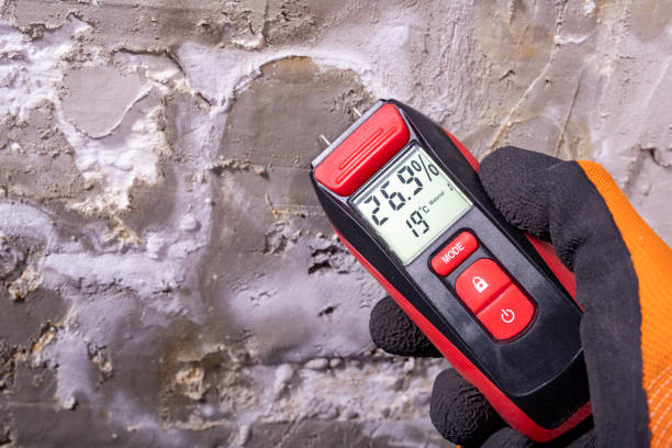 Best Black Mold Removal  in Quail Creek, TX