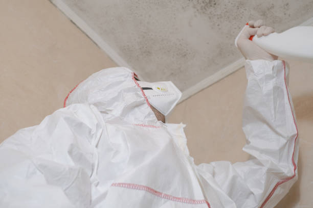 Attic Mold Removal in Quail Creek, TX