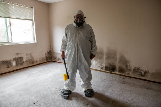 Best Certified Mold Removal  in Quail Creek, TX